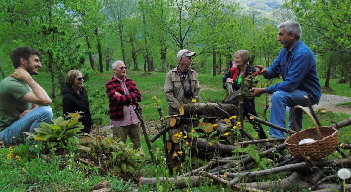 A caccia di funghi in Piemonte